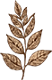 origin